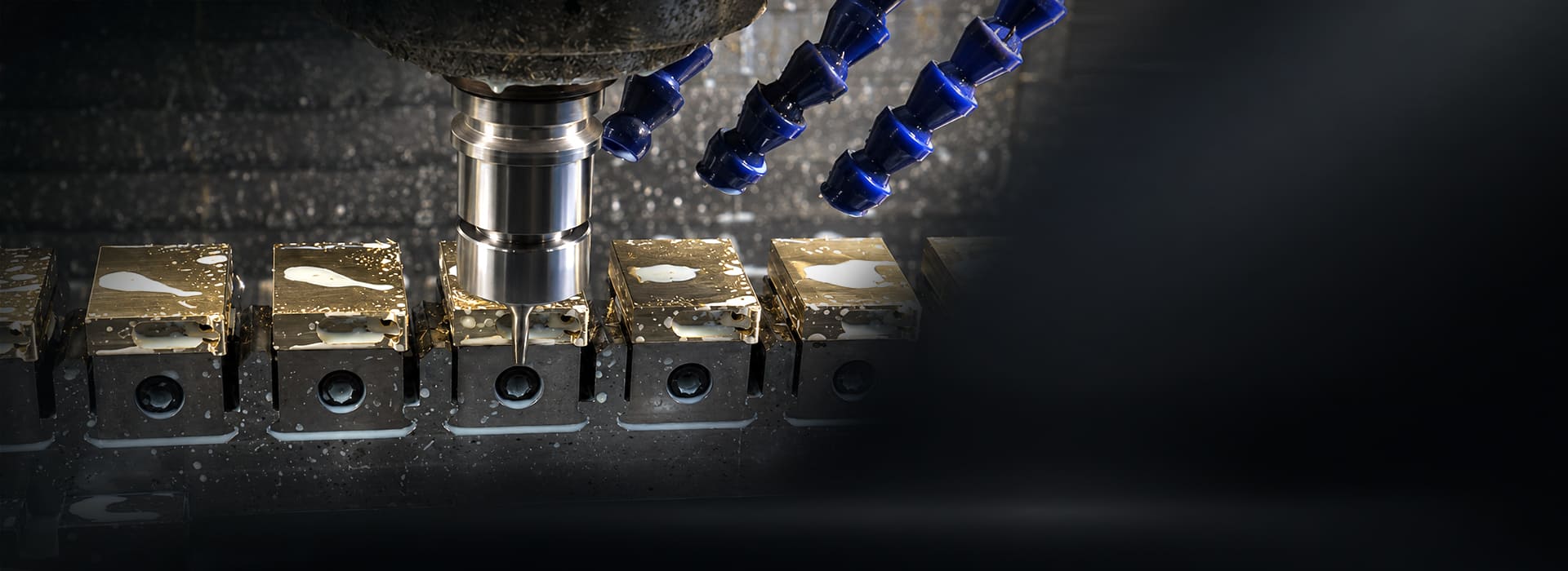 Born from Swiss Precision